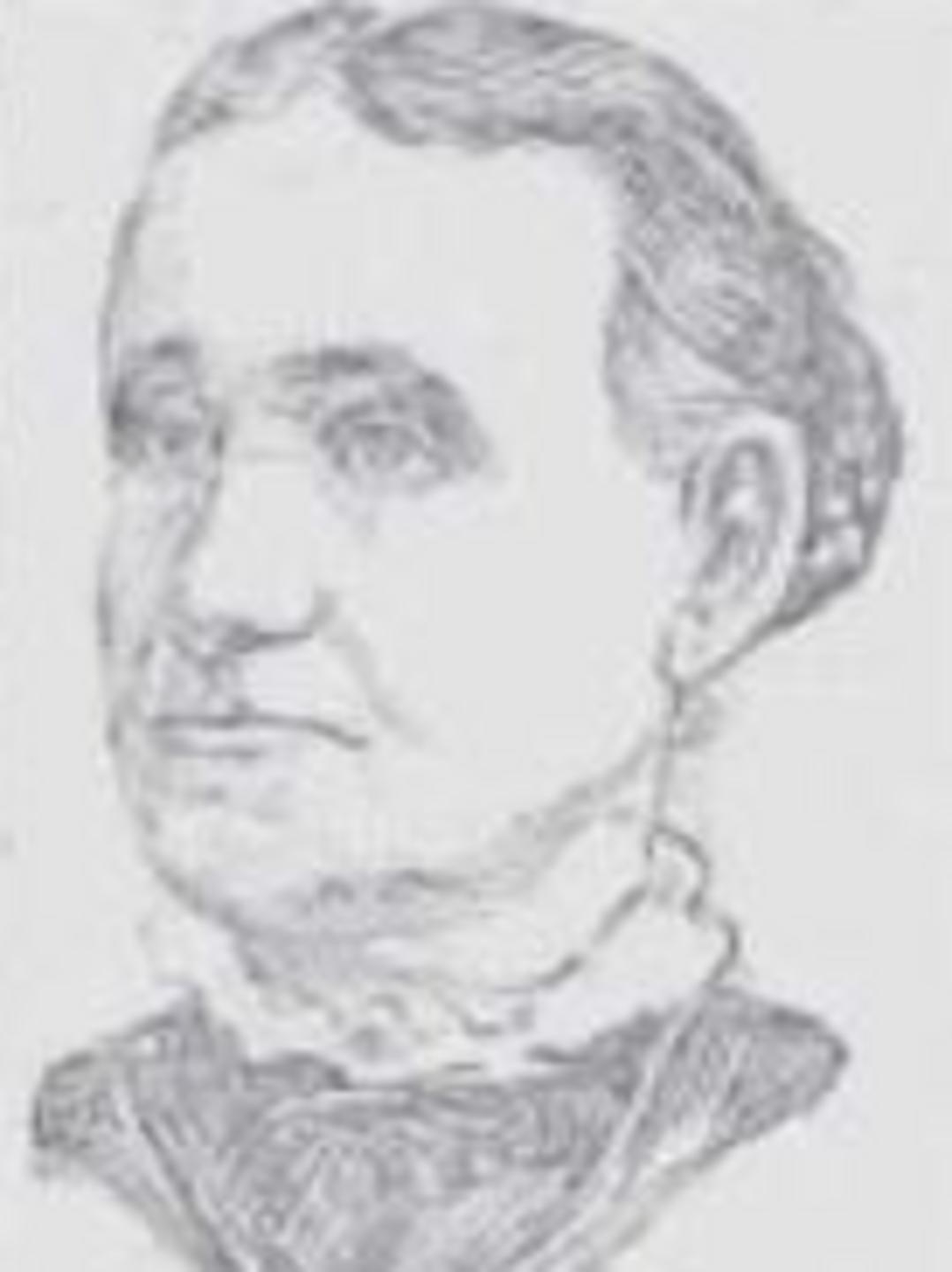 Agnes Cook (1832 - 1899) Profile
